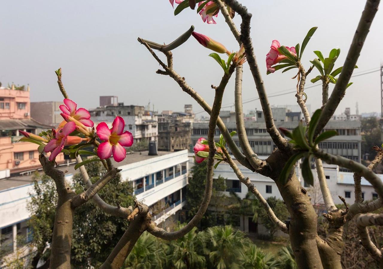 Neelam Bed & Breakfast Calcutta Eksteriør billede